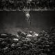 Illustration for article titled The Winning Images From iNational Geographic/is 2014 Photo Contest